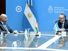 Matías Kulfas Litio