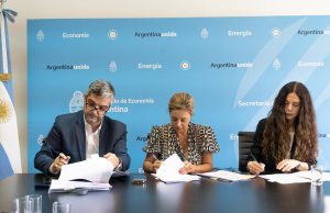 El guiño del ENRE a una estatización de Edesur: “es posible que el Estado compre las acciones”