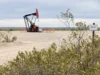 Río Negro declaró la caducidad de concesiones de President Petroleum