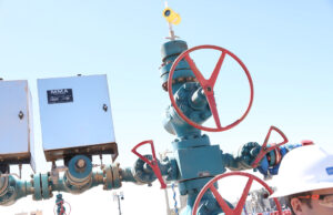 Phoenix consolida su avance en Vaca Muerta y toma el control de cuatro pozos