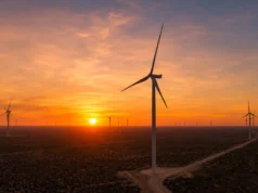 Río Negro impulsa energías renovables con un parque eólico de 300 MW en la Región Sur