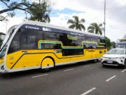 Así será el Trambús T1: el nuevo transporte eléctrico de CABA