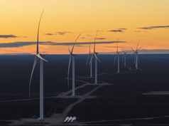 Aluar inaugura en Puerto Madryn el parque eólico más grande de Argentina con inversión de USD 740 millones